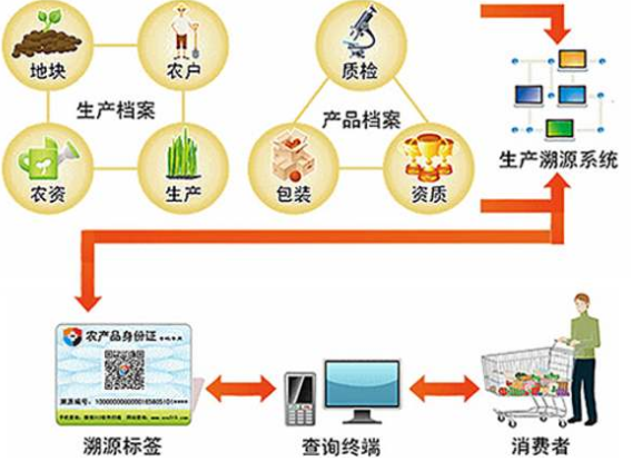 水稻種植可追溯係統有哪些環節及優勢。
