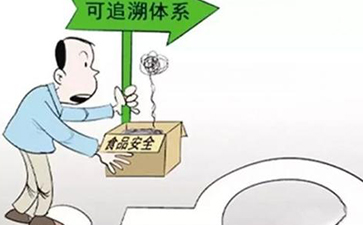 怎樣實現蔬菜的來龍去脈，追根溯源