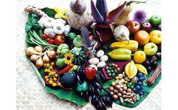 農產品二維碼91免费在线视频標簽具有哪些優勢特點？如何定製？